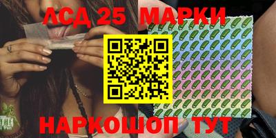 гидра Новозыбков