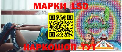 гидра Новозыбков