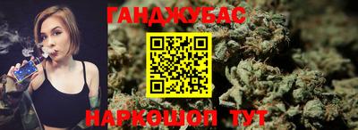 гидра Новозыбков