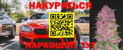 гидра Новозыбков