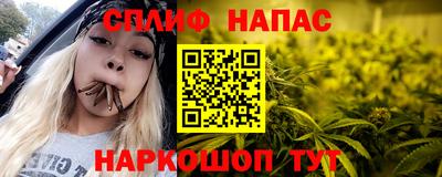 гидра Новозыбков